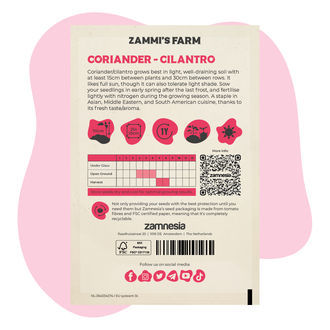 Korianteri (Coriandrum sativum) Buddy Pack