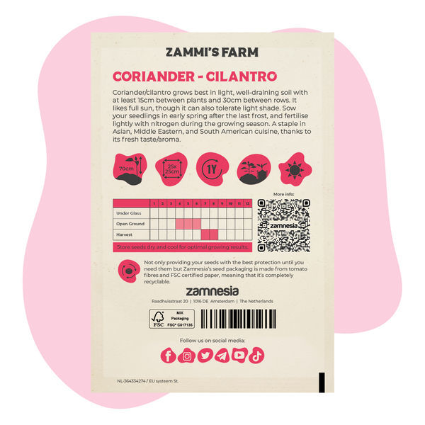Korianteri (Coriandrum sativum) Buddy Pack