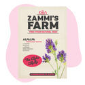 Sinimailanen (Medicago sativa) Buddy Pack
