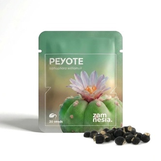 Peyote (Lophophora williamsii) 20 siement&auml;