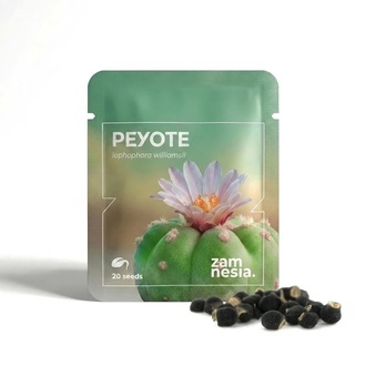 Peyote (Lophophora williamsii) 20 siement&auml;