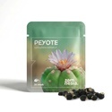 Peyote (Lophophora williamsii) 20 siementä