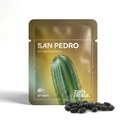 San Pedro (Echinopsis pachanoi) 20 siementä