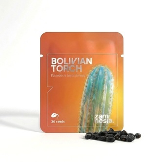 Bolivian Torch (Echinopsis lageniformis) 20 siement&auml;