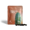 Perulainen torch (Echinopsis peruviana) 20 siementä