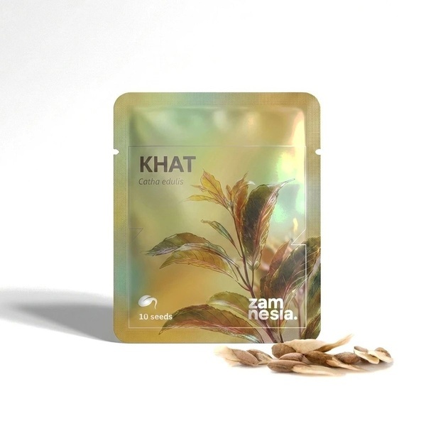 Khat (Catha edulis) 10 siementä
