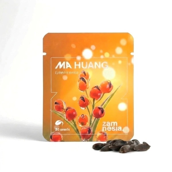 Ephedra (Ma Huang) 20 siementä