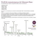 Llimonet Haze Classic THC (Elite Seeds) Feminisoidut