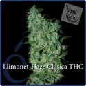Llimonet Haze Classic THC (Elite Seeds) Feminisoidut