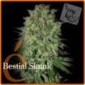 Bestial Skunk (Elite Seeds) Feminisoidut