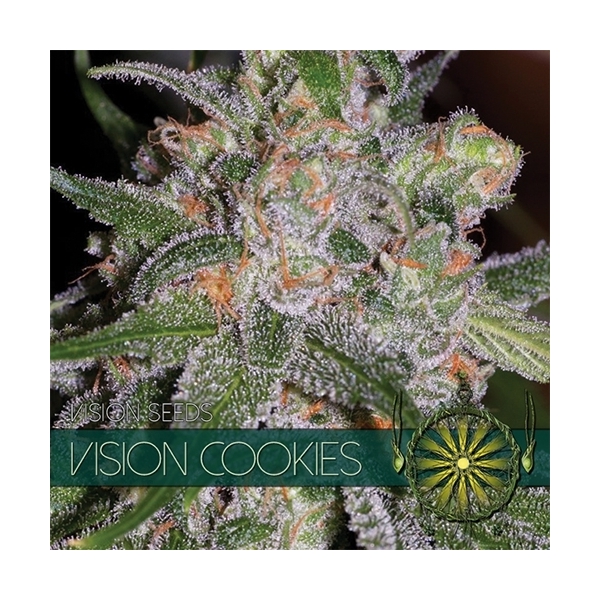 Vision Cookies (Vision Seeds) Feminisoidut