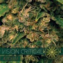 Vision Critical Autoflower (Vision Seeds) Feminisoidut