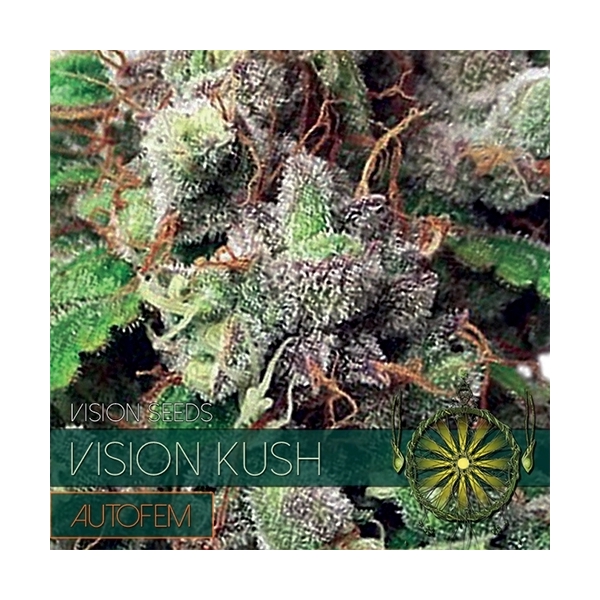 Vision Kush Autoflower (Vision Seeds) Feminisoidut