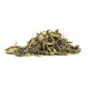 Koiruoho (Artemisia absinthium) 50 grammaa