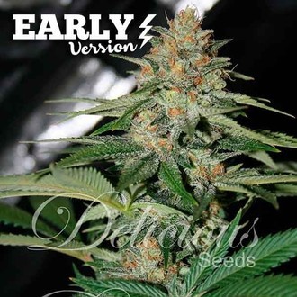 Delicious Candy Early Version (Delicious Seeds) Feminisoidut
