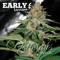 Delicious Candy Early Version (Delicious Seeds) Feminisoidut