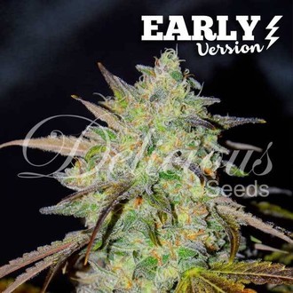 Marmalate Early Version (Delicious Seeds) Feminisoidut