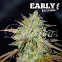 Marmalate Early Version (Delicious Seeds) Feminisoidut