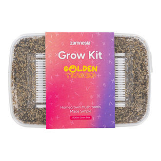 Zamnesia Classic Grow Kit "Golden Teacher"