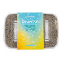 Zamnesia Classic Grow Kit ‘Treasure Coast’