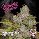 Monkey Glue (Growers Choice) Feminisoiidut