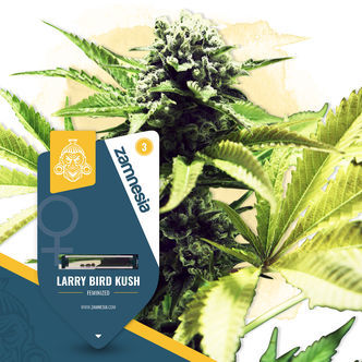 Larry Bird Kush (Zamnesia Seeds) feminisoidut