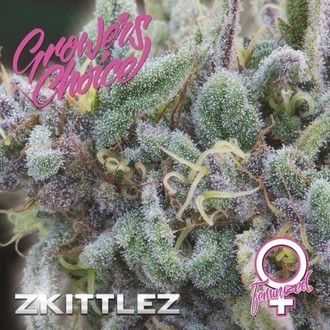 Zkittlez (Growers Choice) Feminisoidut