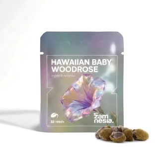 Havaijilainen baby woodrose Madagaskar (Argyreia nervosa) 10 siement&auml;