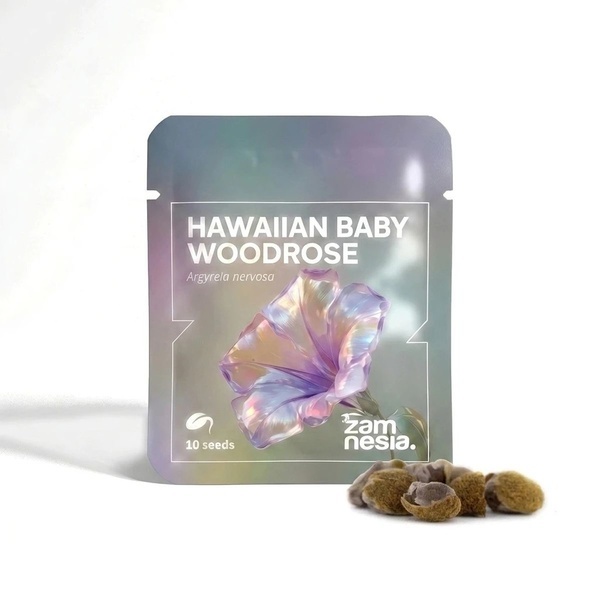 Havaijilainen baby woodrose Madagaskar (Argyreia nervosa) 10 siementä