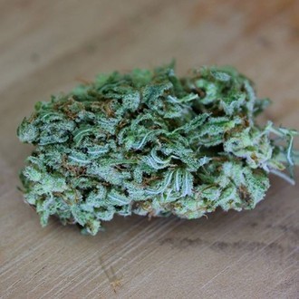 Cinderellas (Sumo Seeds) Feminisoidut
