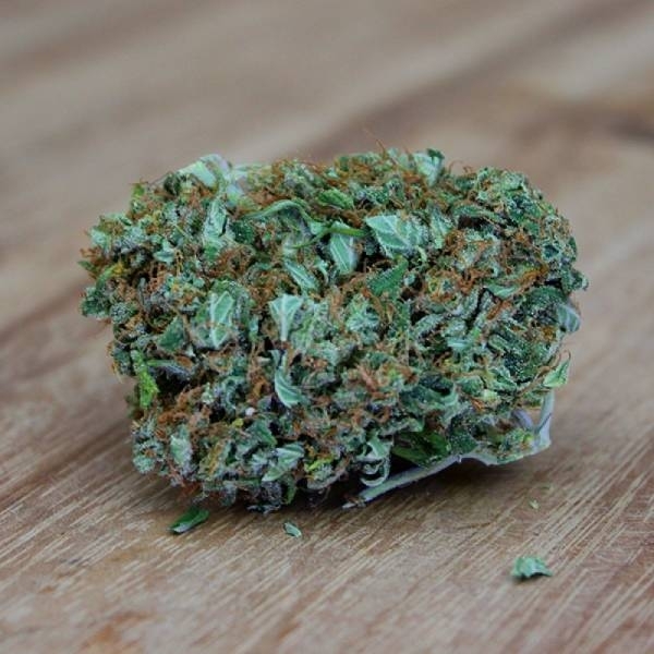 Amnesia Ganja Haze (Sumo Seeds) Feminisoidut