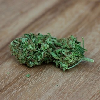 Sweet Harlem Diesel (Sumo Seeds) Feminisoidut