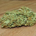 Thunderstruck (Sumo Seeds) Feminisoidut