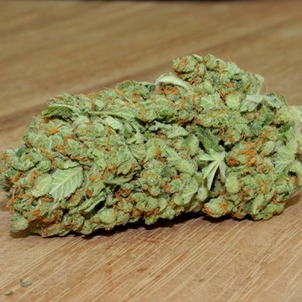 Thunderstruck (Sumo Seeds) Feminisoidut