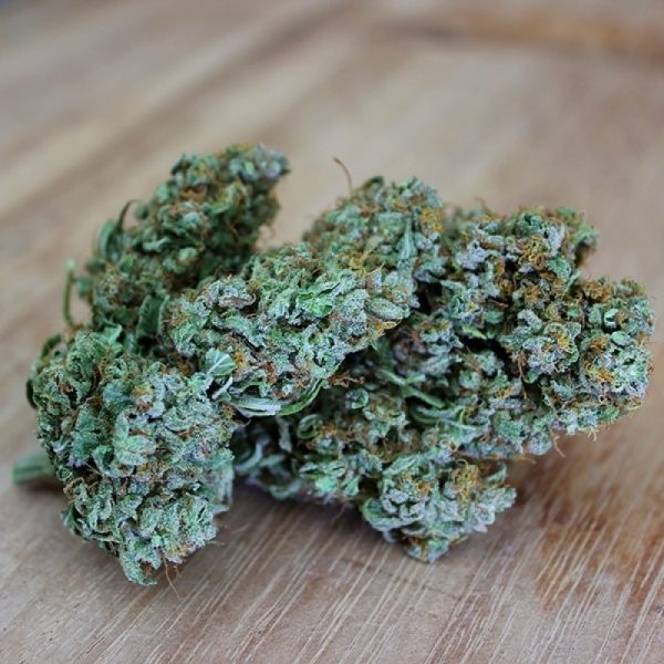 Sumon OG Kush (Sumo Seeds) Feminisoidut