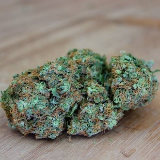 Appleberry (Sumo Seeds) Feminisoidut