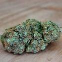 Appleberry (Sumo Seeds) Feminisoidut