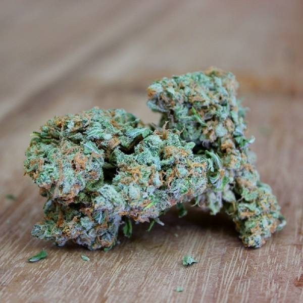 Ultimate AK (Sumo Seeds) Feminisoidut