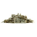 Eucalyptus globulus (20 grammaa)