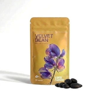 Samettipapu | Mucuna pruriens