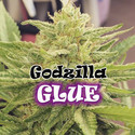 Godzilla Glue (Dr. Underground) Feminisoidut
