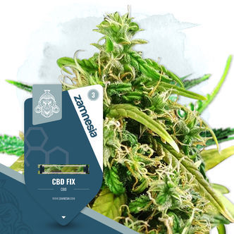 CBD Fix (Zamnesia Seeds) Feminisioidut kannabiksen siemenet
