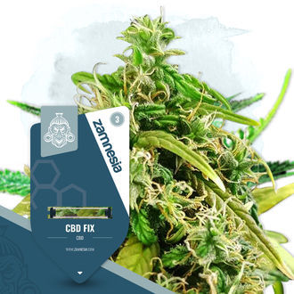 CBD Fix (Zamnesia Seeds) Feminisoidut