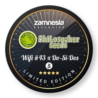 Wifi 43 x Do Si Dos (Philosopher Seeds) feminisoidut