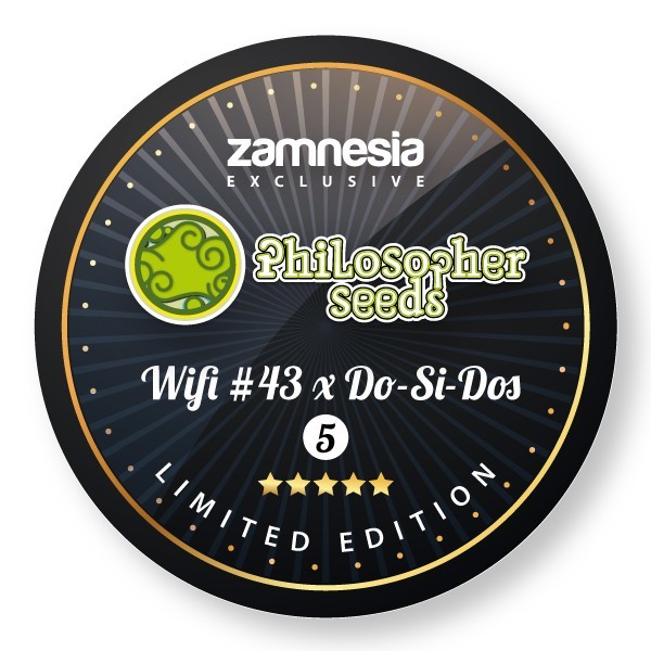 Wifi 43 x Do-Si-Dos (Philosopher Seeds x Zamnesia) Feminisoidut