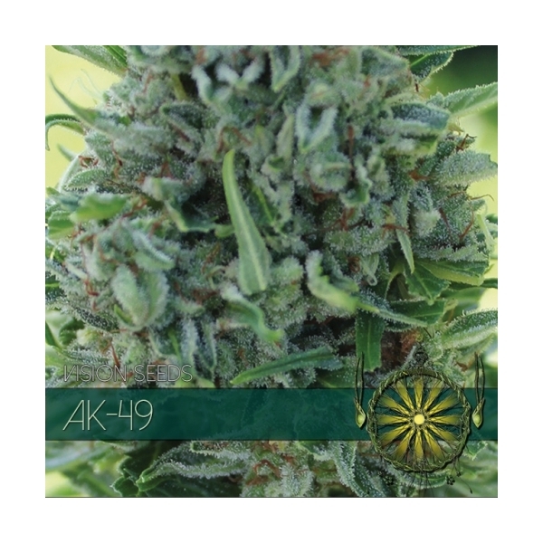 AK-49 (Vision Seeds) Feminisoidut