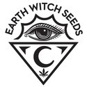 Garlic Haze (Earth Witch Seeds) tavallinen