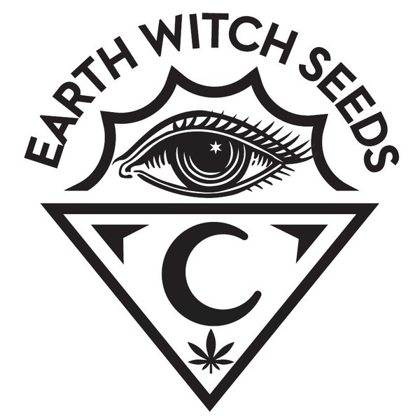 Pumpkin Punch (Earth Witch Seeds) tavallinen