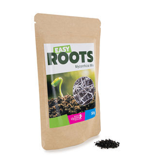 Easy Roots Mykorritsa-sekoitus