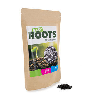 Easy Roots -mykorritsasekoitus